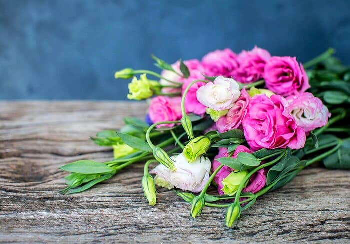 رنگ های گل لیسینتوس