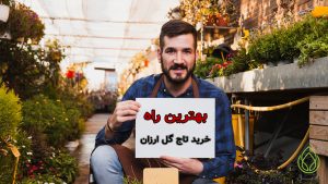 بهترین راه خرید تاج گل ارزان