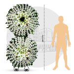 تاج گل خیریه کرج مدل دایره 3