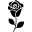 رز مشکی